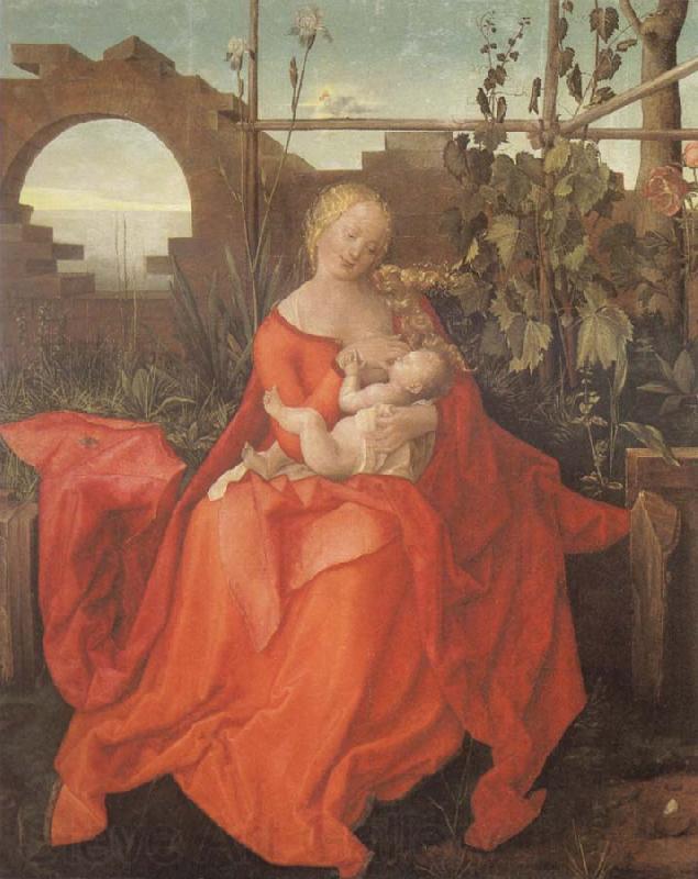 Albrecht Durer The Madonna with the Iris imitator of Albrecht Durer